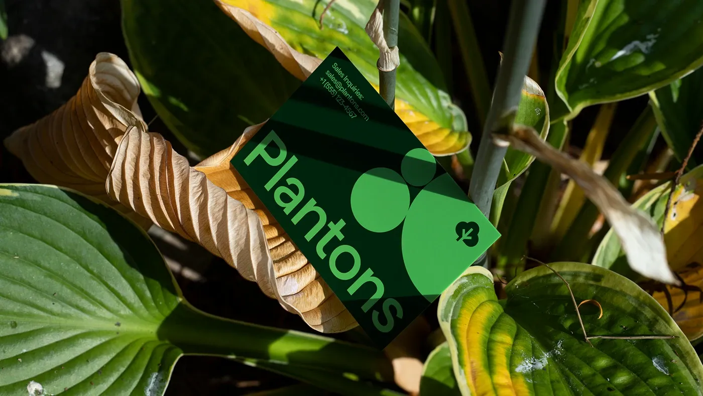 startup branding agency